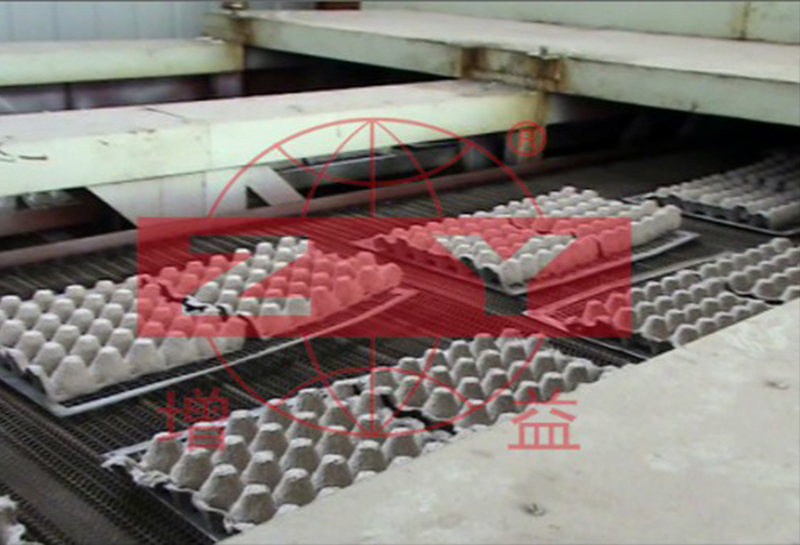 雞蛋蛋托造紙?jiān)O(shè)備案例