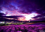 �ձ��������՚��еĵ����Ļ���